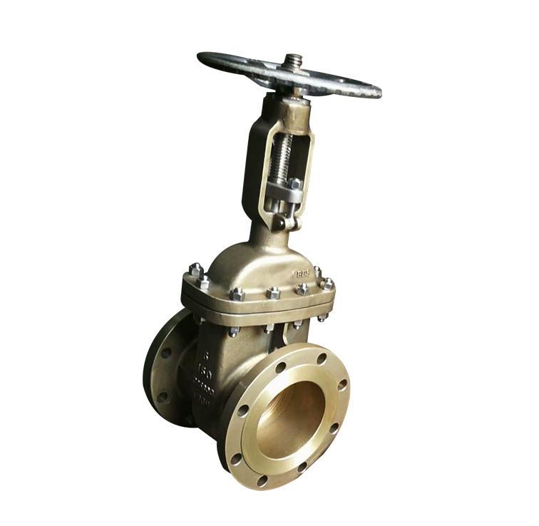 �����~�l�y