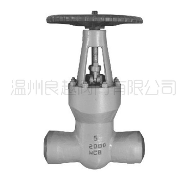 ���˸ߜظ߉��վ�y�T